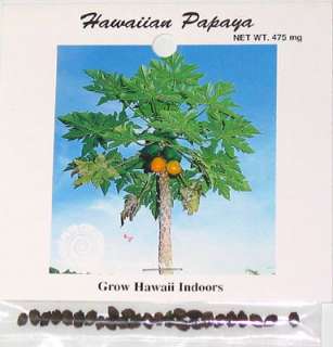 HAWAIIAN PAPAYA FRUIT PLANT SEEDS  
