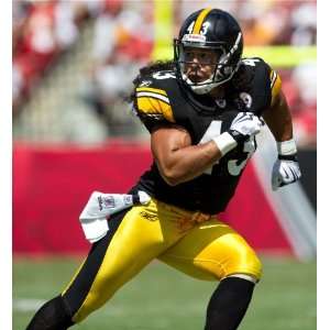 Troy Polamalu HD 11x17 Pittsburgh Steelers #04 HDQ