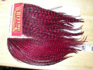 Whiting Woolly Bugger Pack   Grizzly dyed Burgundy 616044014356  