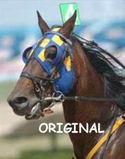 Harness Horse Portrait Cross Stitch Pat Standardbred  