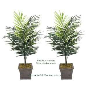  TWO 4 Artificial Dwarf Areca Palm Trees, with No Pot 
