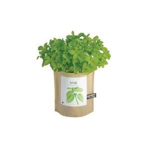   Shed Creations Garden In A Bag   Organic Basil Patio, Lawn & Garden