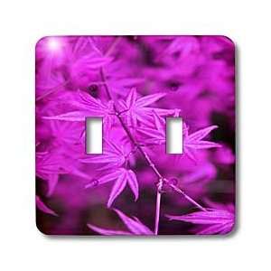 Yves Creations Colorful Leaves   Vibrant Purple Leaves   Light Switch 