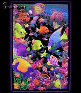 Opticz Living Reef Blacklight Reactive Poster  