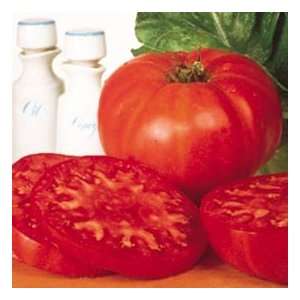 Tomato Supersteak   Hybrid Great Garden Vegetable 30 Seeds 