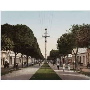    Reprint The Prado, Looking North, Havana, Cuba 1904