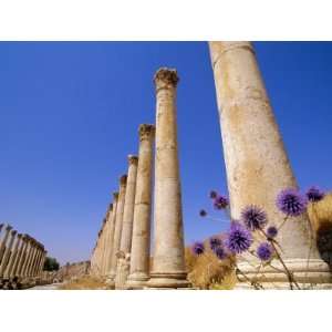  Columns of the Cardo, Jarash, Jordan, Middle East 