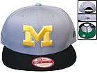 Michigan Woverines hat SNAPBACK New Era Limited Edition release gray 