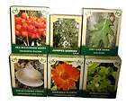 100% Natural Herbs & Berries Sea Buckthorn Chaga CHOICE
