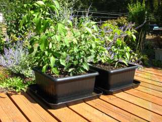 UrBin Grower 2 self watering square foot planters food 043433944909 