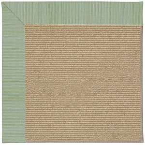   Zoe Sisal 217 Green Spa 2 6 x 8 Runner Area Rug