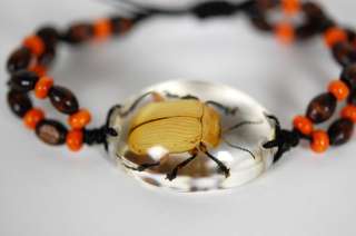 BUG BRACELET Beetle Orange Brown Bead Insect Jewelry  