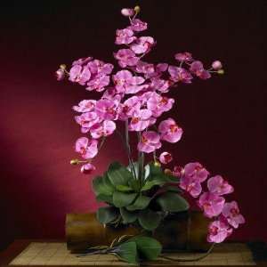  Phalaenopsis Silk Orchid Flower w/Leaves (6 Stems)