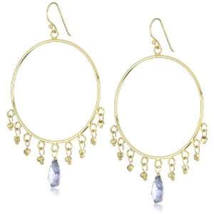  Wendy Mink Treasured Tanzanite Hoop Earrings Jewelry