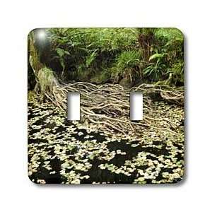 VWPics Spanish Nature   Tree roots and river   Light Switch Covers 