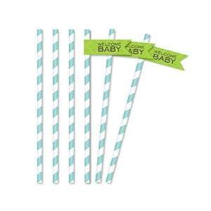 Classic Chic Baby Blue Partyware   Straw Flags
