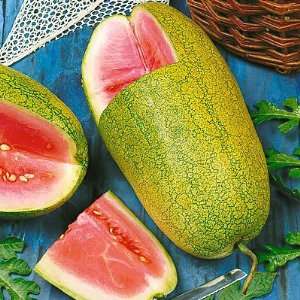  Charleston Grey Watermelon Seeds Patio, Lawn & Garden