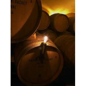 Vaulted Aging Cellar with Barriques Pieces and Maturing Wine, Maison 
